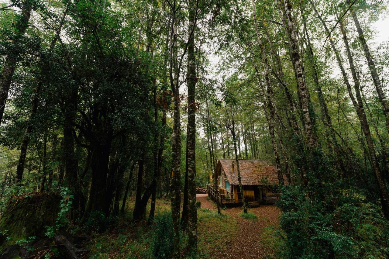 Huilo Huilo Cabanas Del Bosque Puerto Fuy Værelse billede