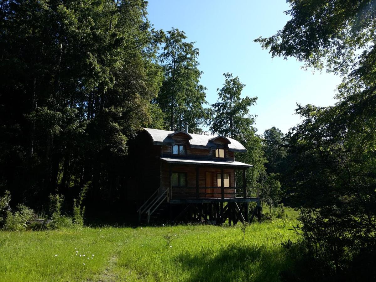 Huilo Huilo Cabanas Del Bosque Puerto Fuy Eksteriør billede